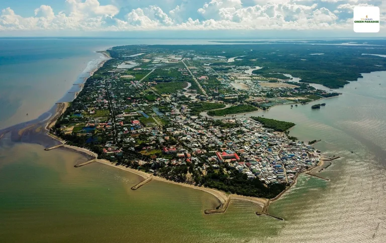 hinh anh thuc te huyen can gio