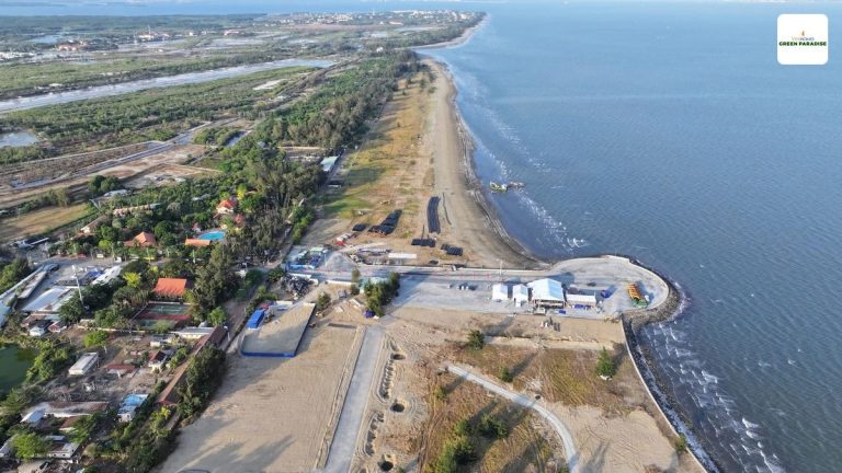 tien do tong the vinhome can gio