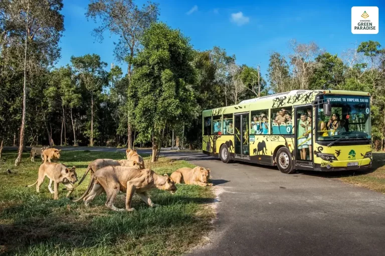kham-pha-vuon-thu-safari-vinhomes-can-gio