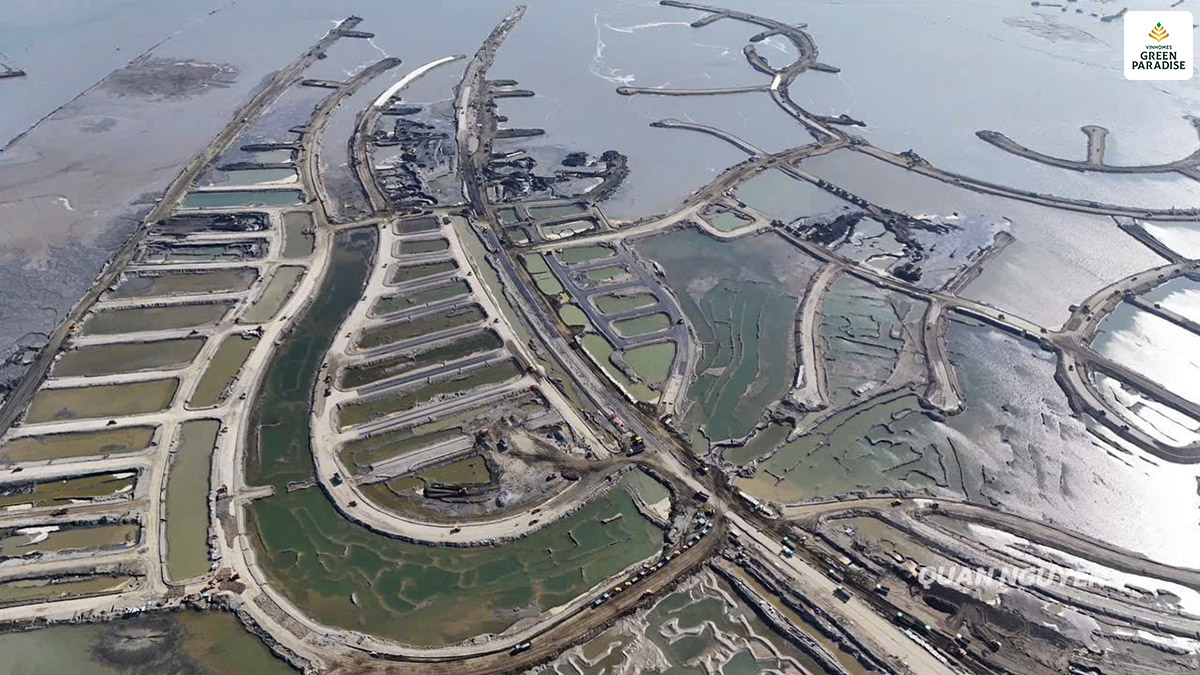 tien do du an vinhomes can gio